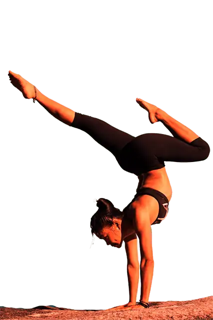 Whole Body Wellness